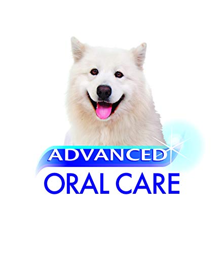 Nylabone Advanced Oral Care Spray dental