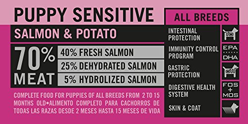 Optima nova - Pienso para Perros Cachorros pequeños, medianos y Grandes ã“ptima Nova Grain Free Puppy Sensitive salmón