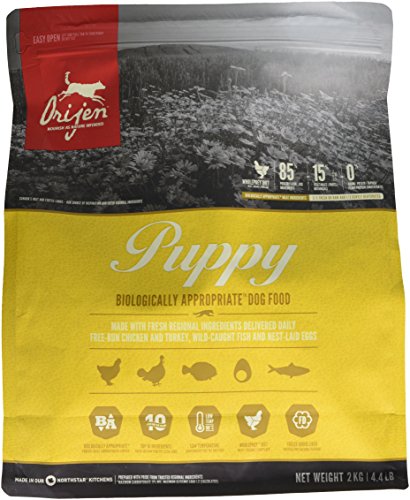 Orijen Puppy - Comida para perro, 2 kg, 1 saco