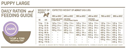 ORIJEN PUPPY LARGE, Comida para Perro 11.4 kg, 1 Saco