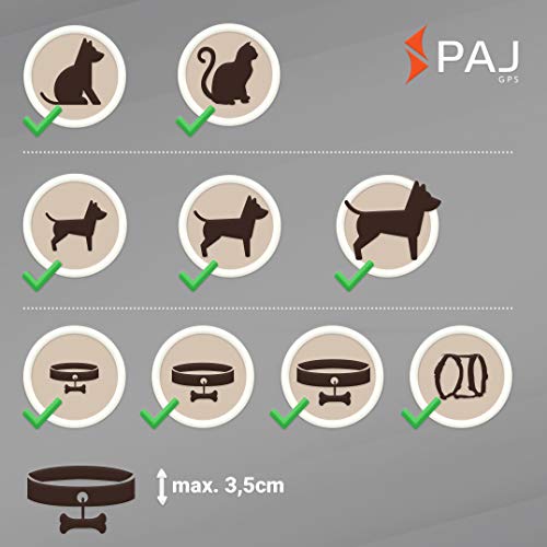 PAJ GPS Pet Finder GPS Tracker Mini Protege Perros y Gatos Resistente al Agua 2 días de duración de la batería (3 días Modo de Espera) Rastreo en Vivo