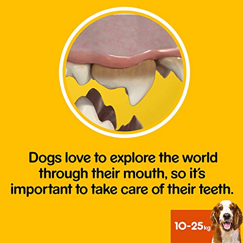 PEDIGREE DentaStix Daily Oral Care - Aperitivo para Cuidado de Dientes para Perros Que Ayuda a Reducir la formación de Placa y sarro (1 Paquete de 112 DentaStix)
