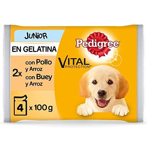 Pedigree Multipack de 4 bolsitas de 100g para perros junior de pollo, buey y arroz (Pack de 13)