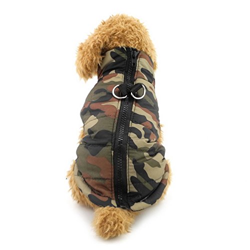Pegasus SELMAI - Abrigo para perro pequeño con agujero de arnés, impermeable, acolchado, arnés con anilla en D, para gato, cachorro, chihuahua, ropa para clima frío