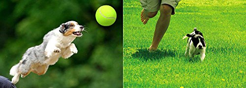 Pelota de Tenis Grande Gigante para Perro, Cachorro, Juguete para Deportes al Aire Libre