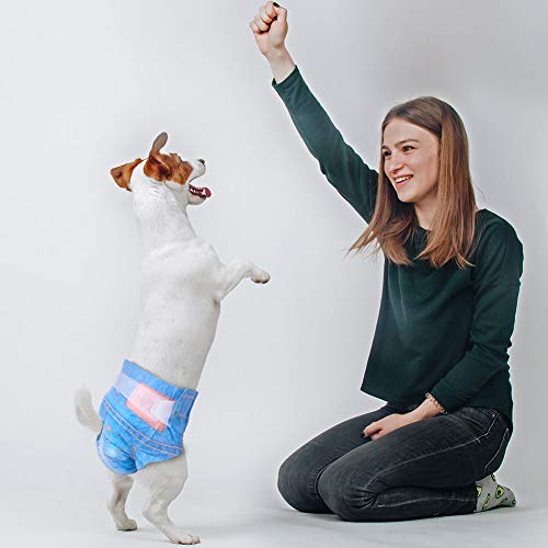 Pet Soft Pañales Desechables para Mascotas Pañales Suaves Superabsorbentes para Perros Hembra Estilo de Vaquero Pañales para Perros Pequeños 3 Bolsas 24 Unidades XS