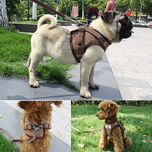 PET SPPTIES Tela de Malla Chaleco para Perros Arnés Suave Ajustable cómodo para Cachorros, Perros Pequeños y Gatos PS042 (XS, Coffee)