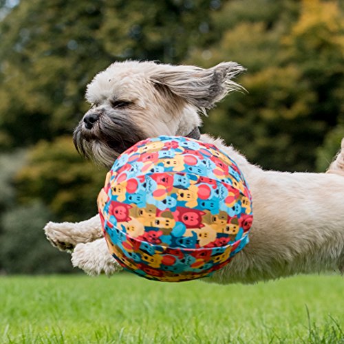 PetBloon Globo de Juguete para Perro – Globo Divertido para Jugar para Perros