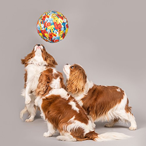 PetBloon Globo de Juguete para Perro – Globo Divertido para Jugar para Perros