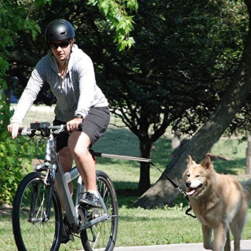 PETCUTE Correa para Perros para Bicicletas Correa para Perros Manos Libres Correa de Perro para Bicicleta Correa de Entrenamiento para Perros
