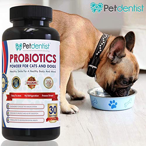 Petdentist polvo probiótico para perros y gatos con 17 cepas bacterianas beneficiosas Ayuda a la inmunidad a la digestión La salud dental incluye 73 millones de bacterias buenas por porción