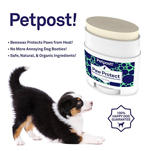Petpost | Protección para Patas de Perro - Bálsamo de Aeite de Girasol Orgánico y Cera de Abejas para el Pavimento Caliente - La Cera Recubre las Patas del Perro para Evitar Quemaduras de Frío o Calor