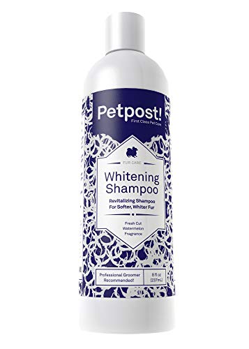 Petpost | Shampoo Blanqueador para Perros – El Mejor Tratamiento de Aclaramiento para Perros con Pelaje Blanco – Calmante Fragancia de Sandía – Para Malteses, Shih Tzu, Caniche – 237 mL