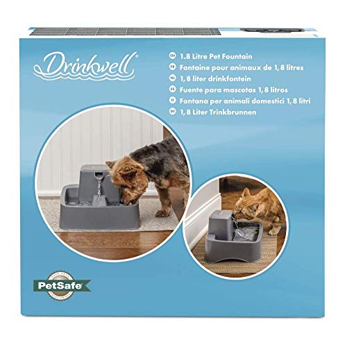 PetSafe PWW19-16794 Drinkwell 1 - Fuente (8 L, Ideal para hogares con Perros pequeños y Gatos, fácil de Limpiar, Incluye Filtro)