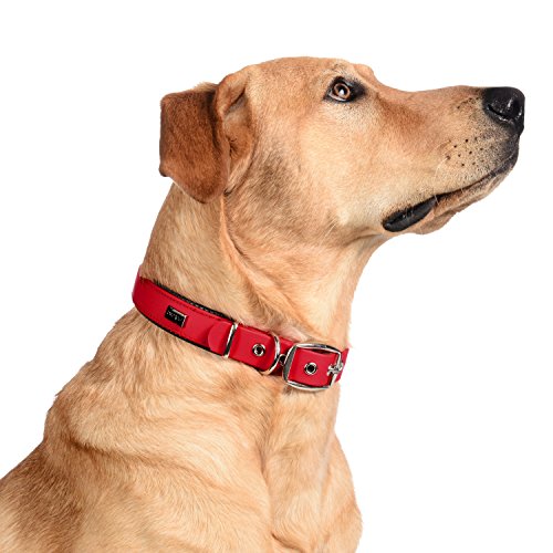 PetTec Collar de Perro Cómodo y Duradero, Fabricado con Trioflex lo Que lo Hace Fuerte; para Perros Grandes o Pequeños, Ajustable y con Relleno Impermeable (Rojo)