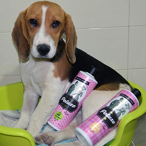 Petuxe Champú Perros y Mascotas Vegano, Cachorros/puppies - 200 ml