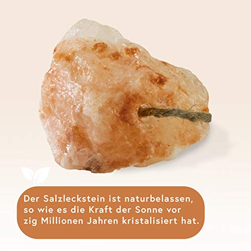 Piedra de sal tipo Himalaya Minis, 10 unidades con cordón, total 1 kg