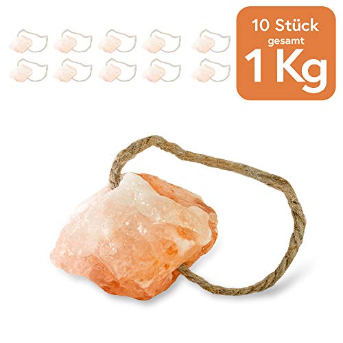 Piedra de sal tipo Himalaya Minis, 10 unidades con cordón, total 1 kg