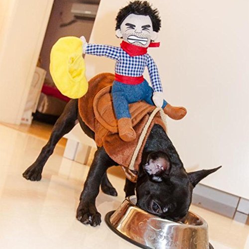 PROtastic Disfraz divertido de vaquero de Halloween para perros (pequeño)