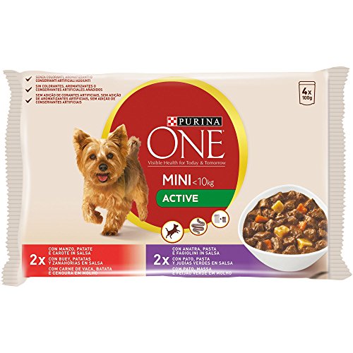 Purina ONE MINI comida para perros húmeda en Salsa Active Perro Adulto Buey y Pato  10 x [4 x 100 g]