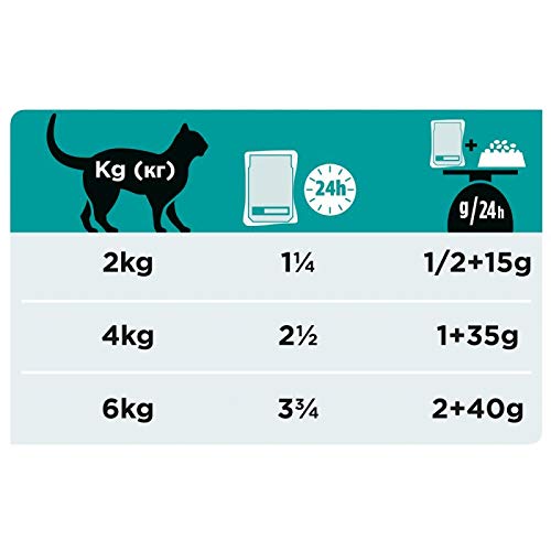 Purina ProPlan Veterinary Diets en – gastrointestinal gato Salmón 10 x 85gr