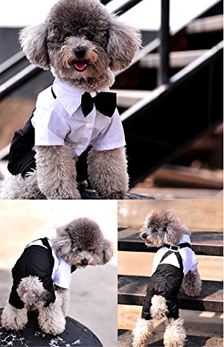 QiCheng & LYS Ropa para Perros Traje Elegante con Estilo de Corbata de moño, Camisa de Esmoquin Formal con Traje de Corbata Negra (S)