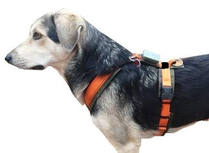 Rastreador Bolsa Tracker GPS Perro 51x41x15mm para Collar Perro