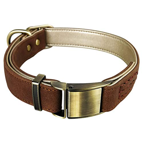RC GearPro Collar de Perro de Cuero Real, Collares Suaves para Mascotas para Perros pequeños, medianos y Grandes (Brown, S(24-34cm))