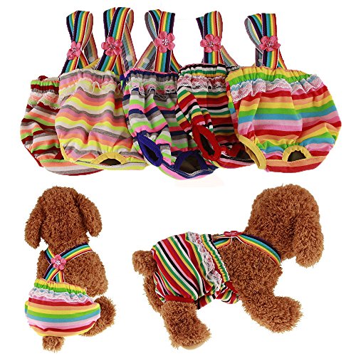 RC GearPro Pack de 2 pañales Lavables Perros, Bragas sanitarias para Mascotas con Liguero para Perras, Color al Azar (L)