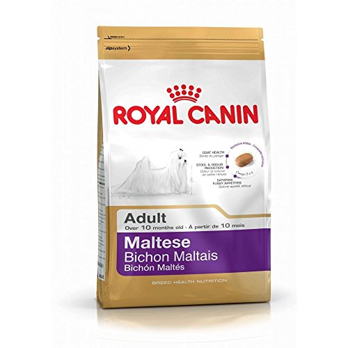Royal Canin - Alimento seco para Perro maltés 24 canino, 1,5 kg
