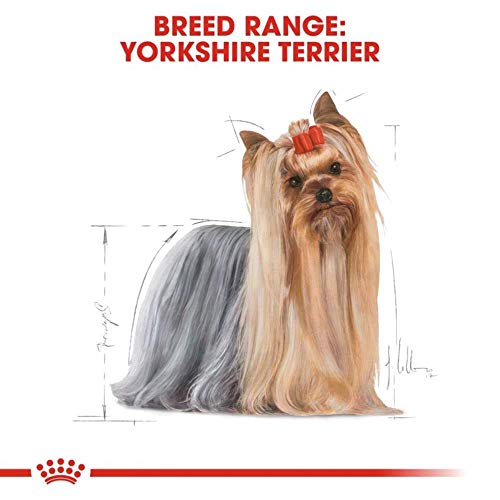 ROYAL CANIN Breed Mini Yorkshire Comida para Perros - Paquete de 12 x 85 gr - Total: 1020 gr