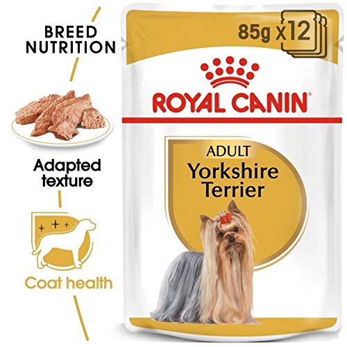 ROYAL CANIN Breed Mini Yorkshire Comida para Perros - Paquete de 12 x 85 gr - Total: 1020 gr