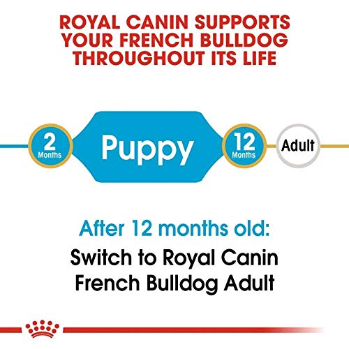 Royal Canin Bulldog Frances Puppy - 3 Kg