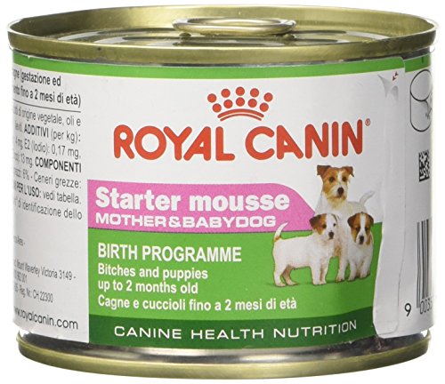 Royal Canin C-08313 Starter Mousse, 195 gr, paquete de 12