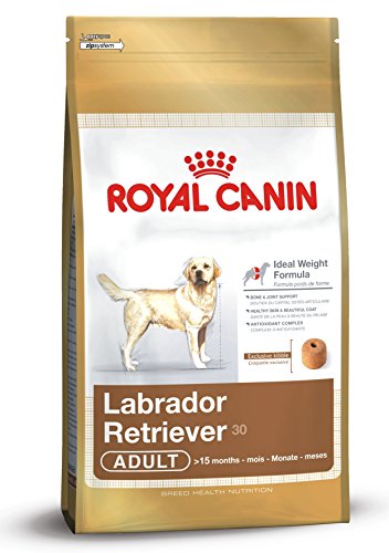 Royal Canin C-08905 S.N. Labrador 30 - 12 Kg