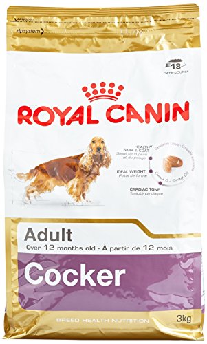 Royal Canin C-08942 S.H. Nut. Cocker 25 - 3 Kg