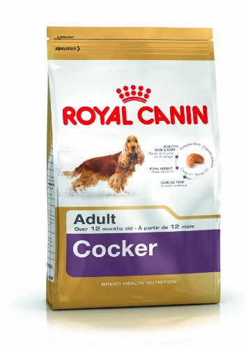 Royal Canin C-08944 S.H. Nut. Cocker 25 - 12 Kg
