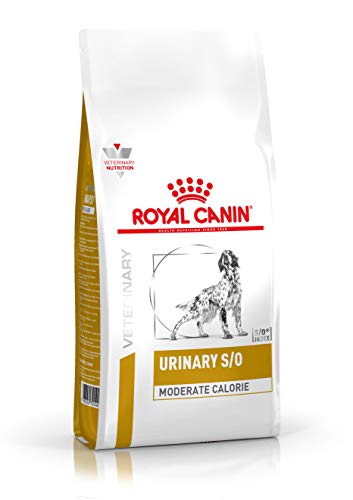 ROYAL CANIN C-111645 Diet Urin Mode Ucm20-1.5 Kg