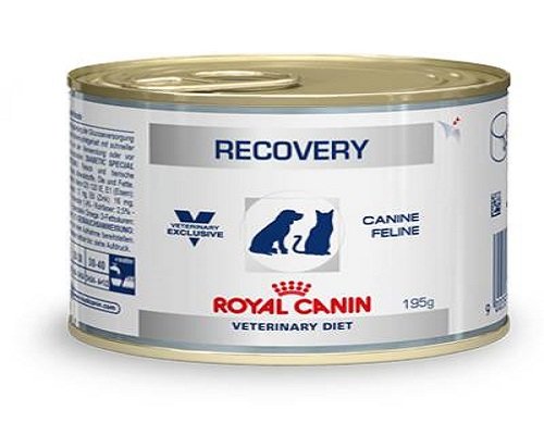 Royal Canin C-11402 Diet Recovery - 195 gr