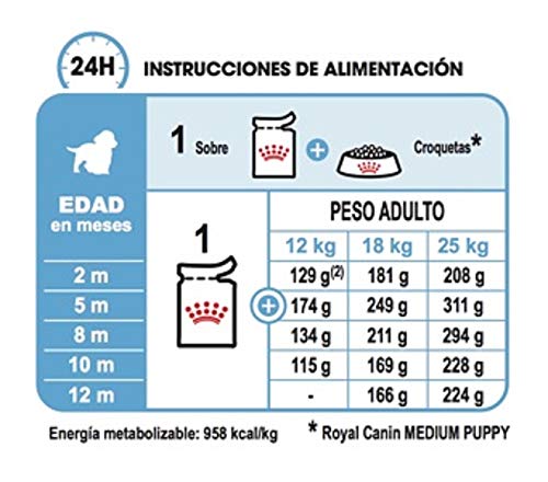 ROYAL CANIN Comida húmeda Puppy Medium Trozos de Carne en Salsa para Cachorros de Razas Medianas - Caja 10 x 140 gr (Bolsitas)