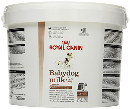 Royal Canin Comida para perros Babydog Milk 2 Kg