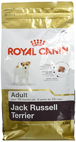 Royal Canin Comida para perros Jack Russell Adult 1.5 Kg