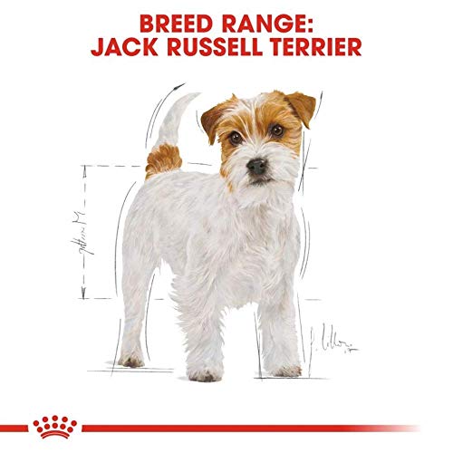 Royal Canin Comida para perros Jack Russell Adult 7.5 Kg