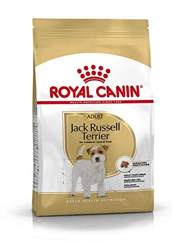 Royal Canin Comida para perros Jack Russell Adult 7.5 Kg