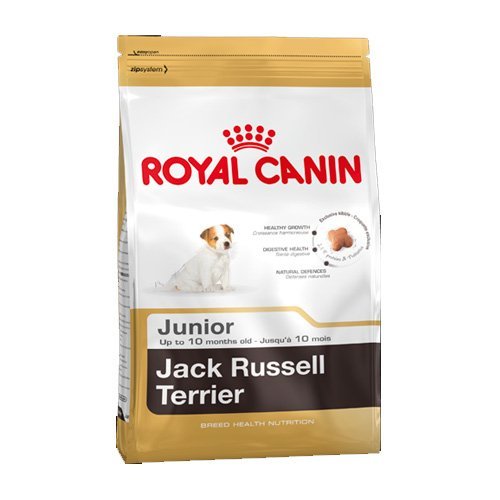Royal Canin Comida para perros Jack Russell Junior 3 Kg