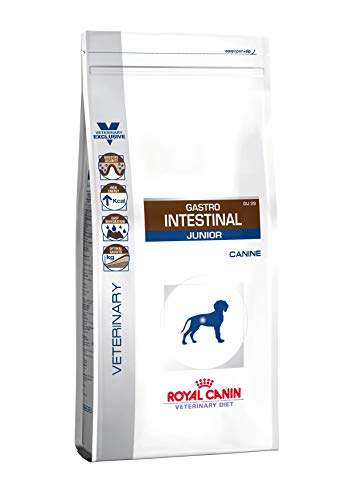 Royal Canin GIJ29 - Bolsa de 1 kg para veterinario gastro Intestinal Junior