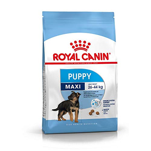 Royal canin - Maxi Junior pienso Perros Raza Grande
