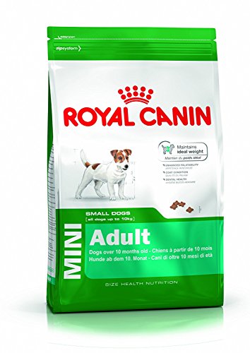 Royal Canin - Mini adulto 2 kg