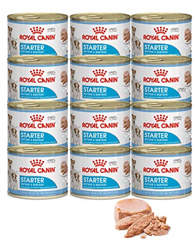 ROYAL CANIN - Mousse Mother & Baby 12 x 195 g