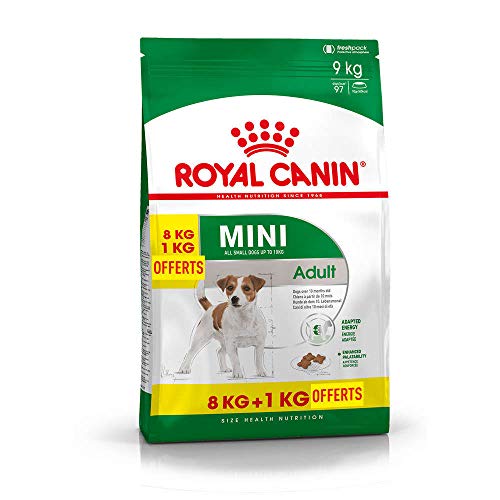 ROYAL CANIN Perros Forro Mini Adult, 8 + 1 kg Gratis, 1er Pack (1 x 9 kg)